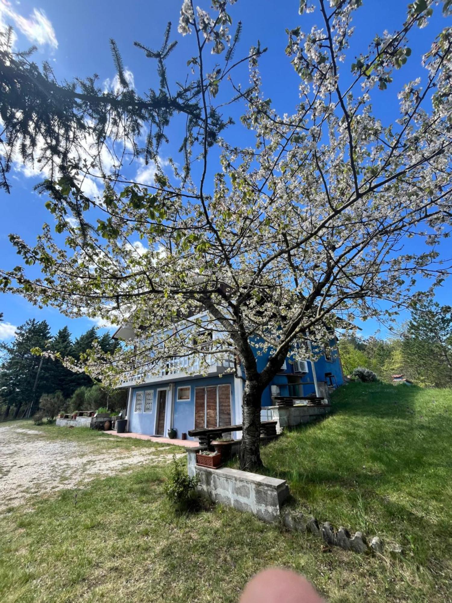 Chalet Ricciano Foligno Ngoại thất bức ảnh